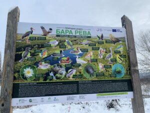 [Aggregator] Downloaded image for imported item #126564