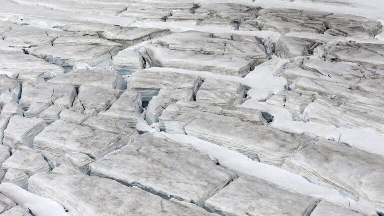 [Aggregator] Downloaded image for imported item #127651