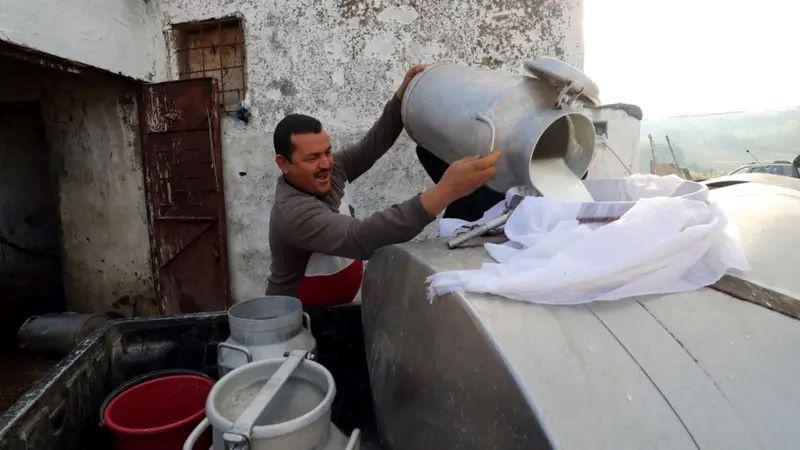 čovek cedi mleko kroz grudnjaču u veliku posudu