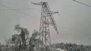 [Aggregator] Downloaded image for imported item #125800