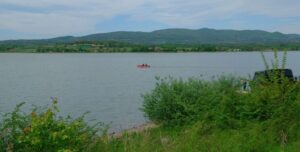 [Aggregator] Downloaded image for imported item #130689