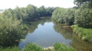 [Aggregator] Downloaded image for imported item #129357