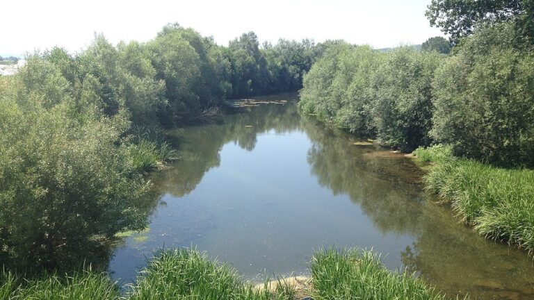 [Aggregator] Downloaded image for imported item #129357