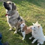 [Aggregator] Downloaded image for imported item #132433