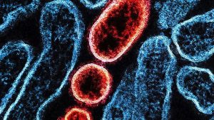 [Aggregator] Downloaded image for imported item #131627