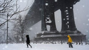 [Aggregator] Downloaded image for imported item #130793