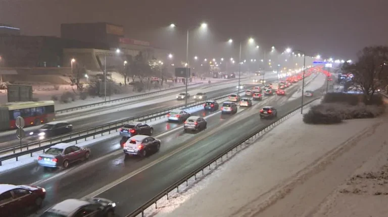 [Aggregator] Downloaded image for imported item #125006