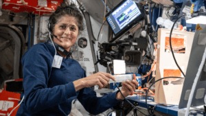 [Aggregator] Downloaded image for imported item #131955