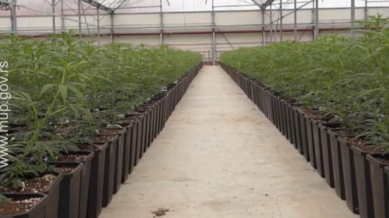 [Aggregator] Downloaded image for imported item #128744