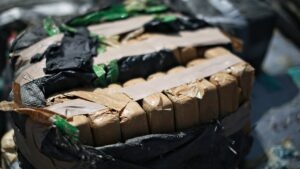 [Aggregator] Downloaded image for imported item #123993