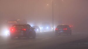 [Aggregator] Downloaded image for imported item #125903