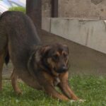 [Aggregator] Downloaded image for imported item #130779