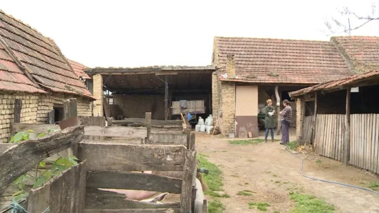 [Aggregator] Downloaded image for imported item #128678