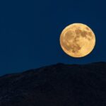 [Aggregator] Downloaded image for imported item #123425