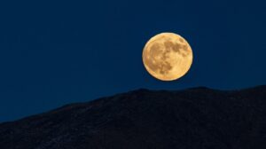 [Aggregator] Downloaded image for imported item #123425