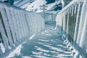 [Aggregator] Downloaded image for imported item #124959