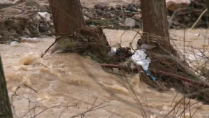 [Aggregator] Downloaded image for imported item #125074