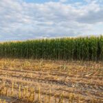 [Aggregator] Downloaded image for imported item #127802