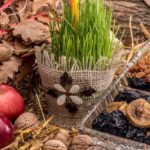 [Aggregator] Downloaded image for imported item #124276