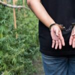 [Aggregator] Downloaded image for imported item #132108