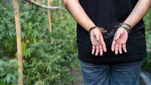 [Aggregator] Downloaded image for imported item #132108