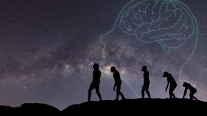 [Aggregator] Downloaded image for imported item #131857