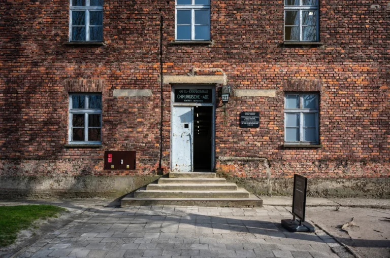 [Aggregator] Downloaded image for imported item #124220