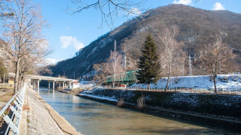 [Aggregator] Downloaded image for imported item #126487