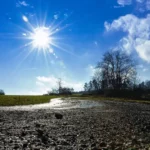 [Aggregator] Downloaded image for imported item #126965