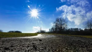 [Aggregator] Downloaded image for imported item #126965