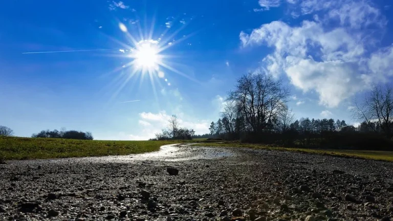 [Aggregator] Downloaded image for imported item #126965