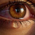 [Aggregator] Downloaded image for imported item #132823