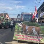 [Aggregator] Downloaded image for imported item #140128