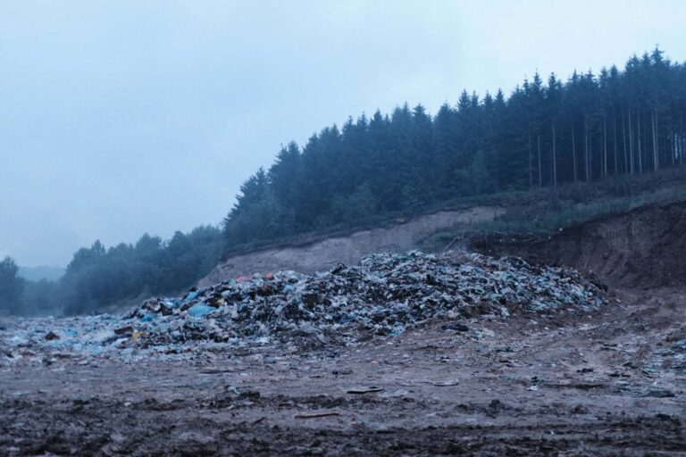 [Aggregator] Downloaded image for imported item #140171