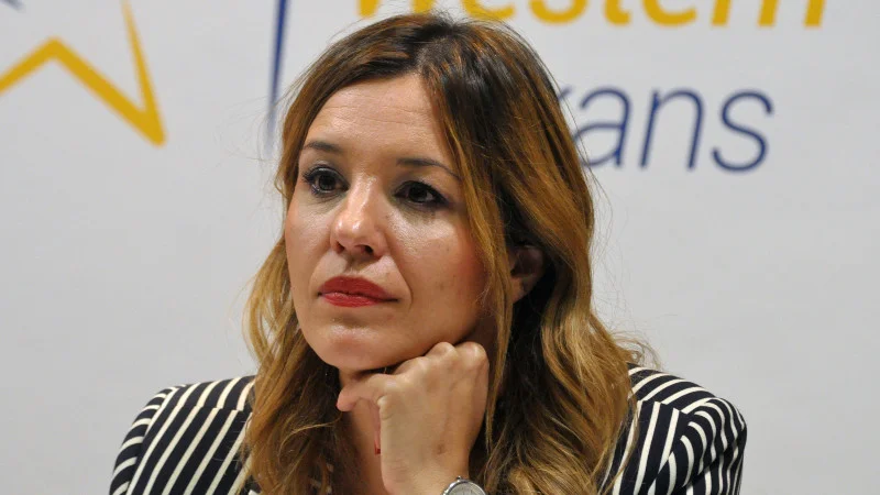 Stručnjaci kritikuju izjavu Petrova: "Verujem da tako razmi&scaron;lja &ndash; da svi koji ne ljube skute Vučiću treba da ostanu bez posla 2