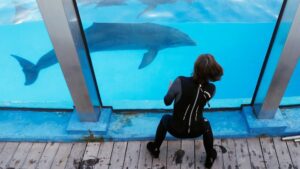 [Aggregator] Downloaded image for imported item #135070