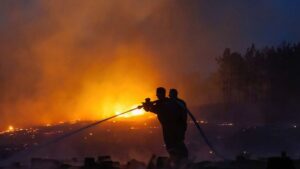 [Aggregator] Downloaded image for imported item #137186