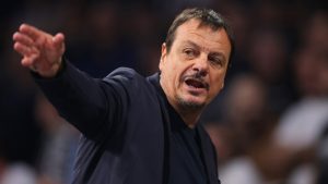 [Aggregator] Downloaded image for imported item #134240