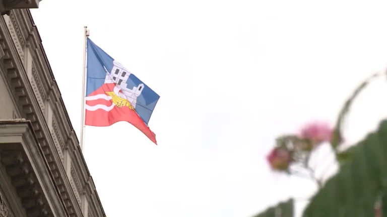 [Aggregator] Downloaded image for imported item #141750