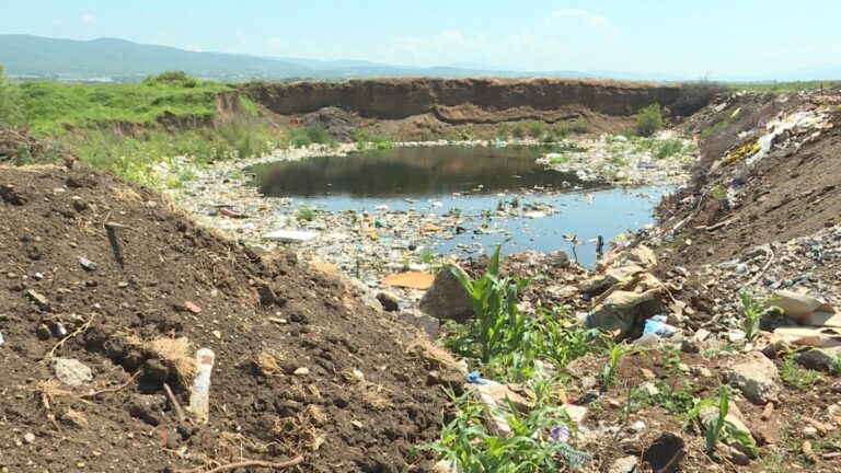 [Aggregator] Downloaded image for imported item #132737