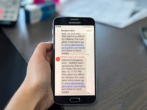 [Aggregator] Downloaded image for imported item #136035