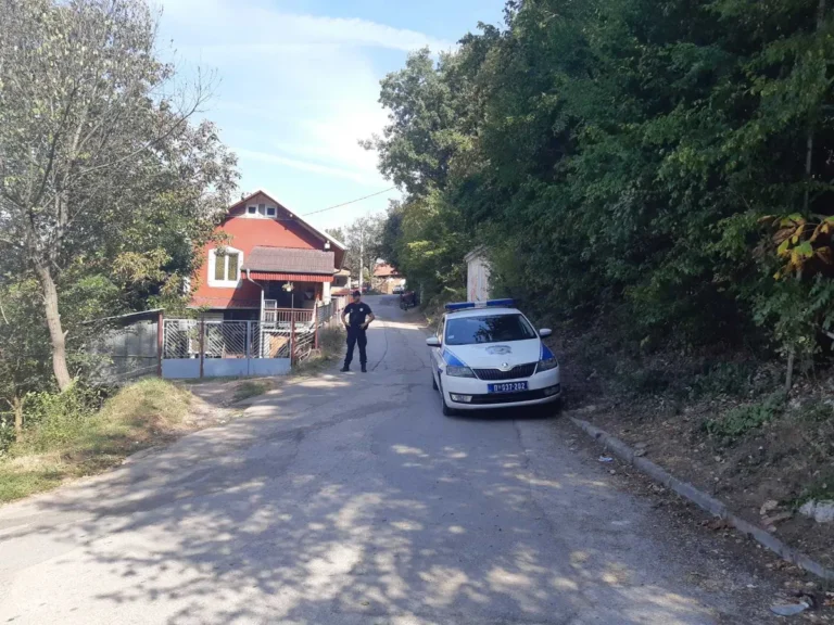 [Aggregator] Downloaded image for imported item #135643