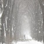 [Aggregator] Downloaded image for imported item #139373