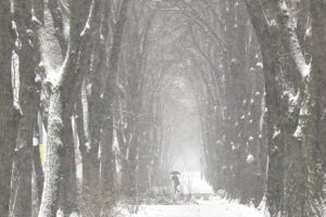 [Aggregator] Downloaded image for imported item #139373