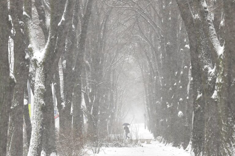 [Aggregator] Downloaded image for imported item #139373