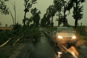 [Aggregator] Downloaded image for imported item #134584