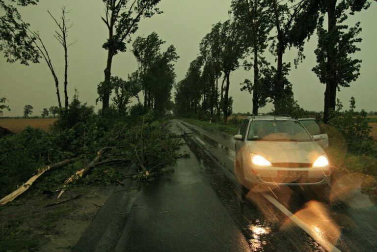 [Aggregator] Downloaded image for imported item #134584