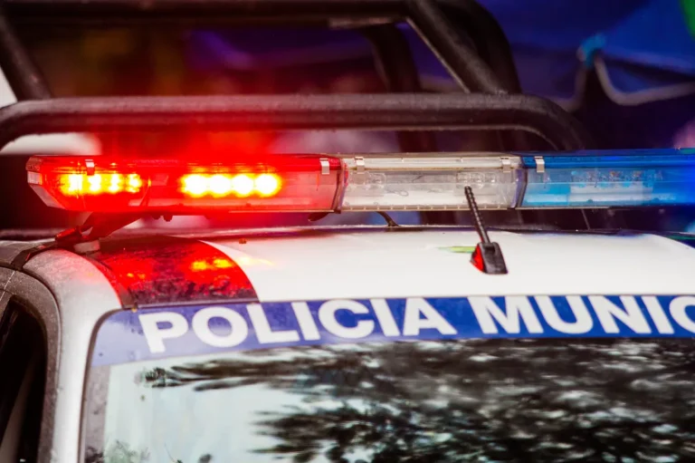 [Aggregator] Downloaded image for imported item #134177