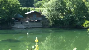 [Aggregator] Downloaded image for imported item #141687