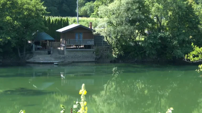 [Aggregator] Downloaded image for imported item #141687